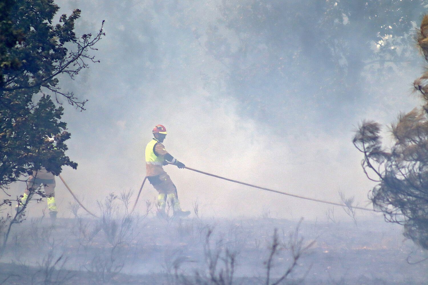  Incendio forestal de Aldea de la Valdoncina (León) | Peio García / ICAL.