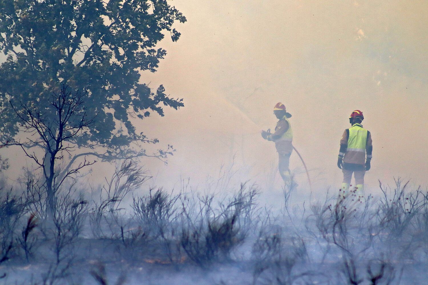  Incendio forestal de Aldea de la Valdoncina (León) | Peio García / ICAL.