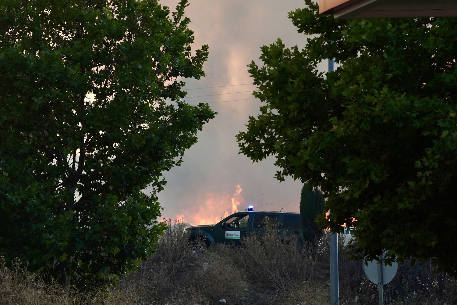 Incendio forestal de en Castrillo de los Polvazares (León) | Campillo / ICAL