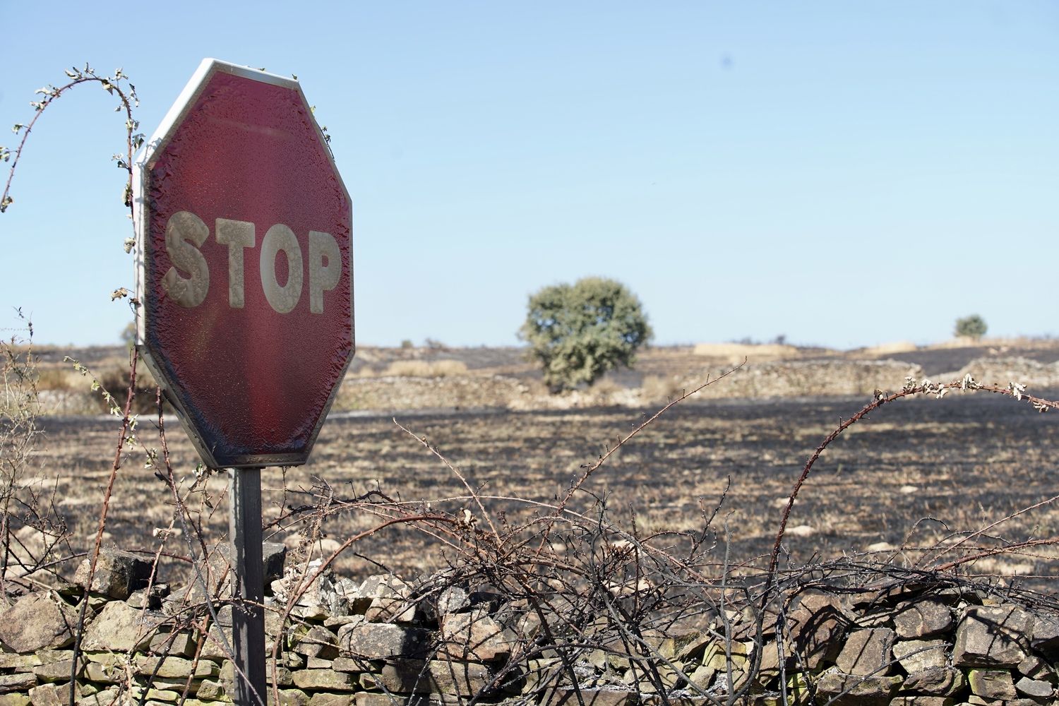 El incendio forestal de Castrillo de los Polvazares  baja a nivel 1 | Campillo / ICAL.