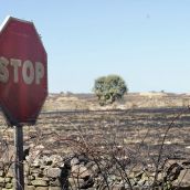 El incendio forestal de Castrillo de los Polvazares  baja a nivel 1 | Campillo / ICAL.