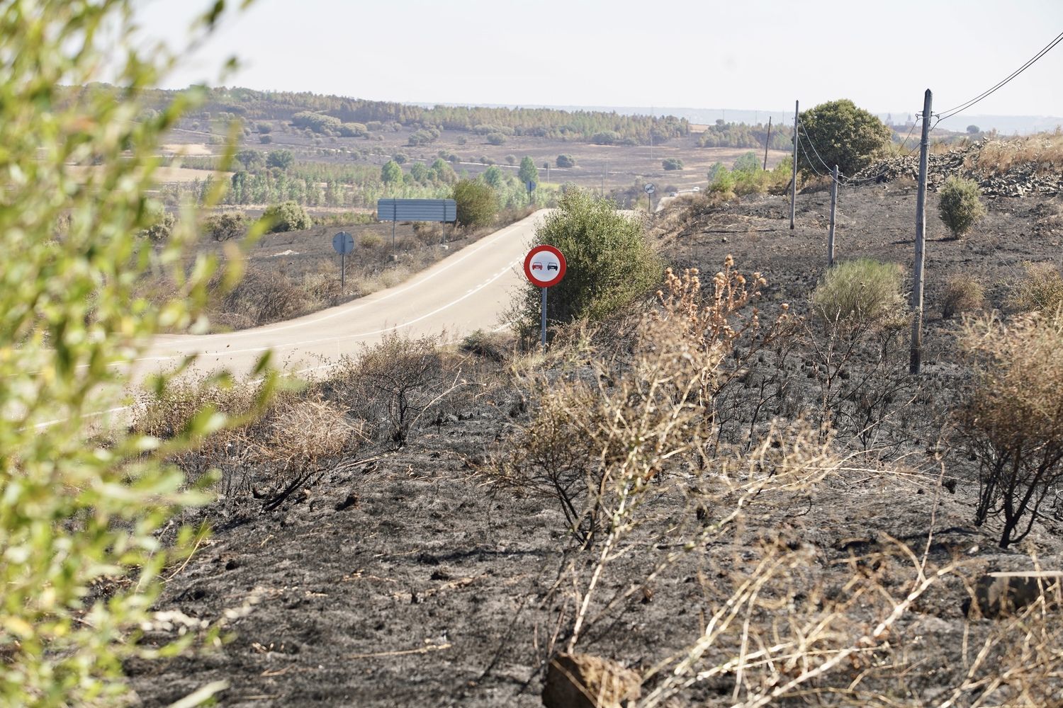  El incendio forestal de Castrillo de los Polvazares  baja a nivel 1 | Campillo / ICAL.