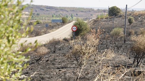  El incendio forestal de Castrillo de los Polvazares  baja a nivel 1 | Campillo / ICAL.