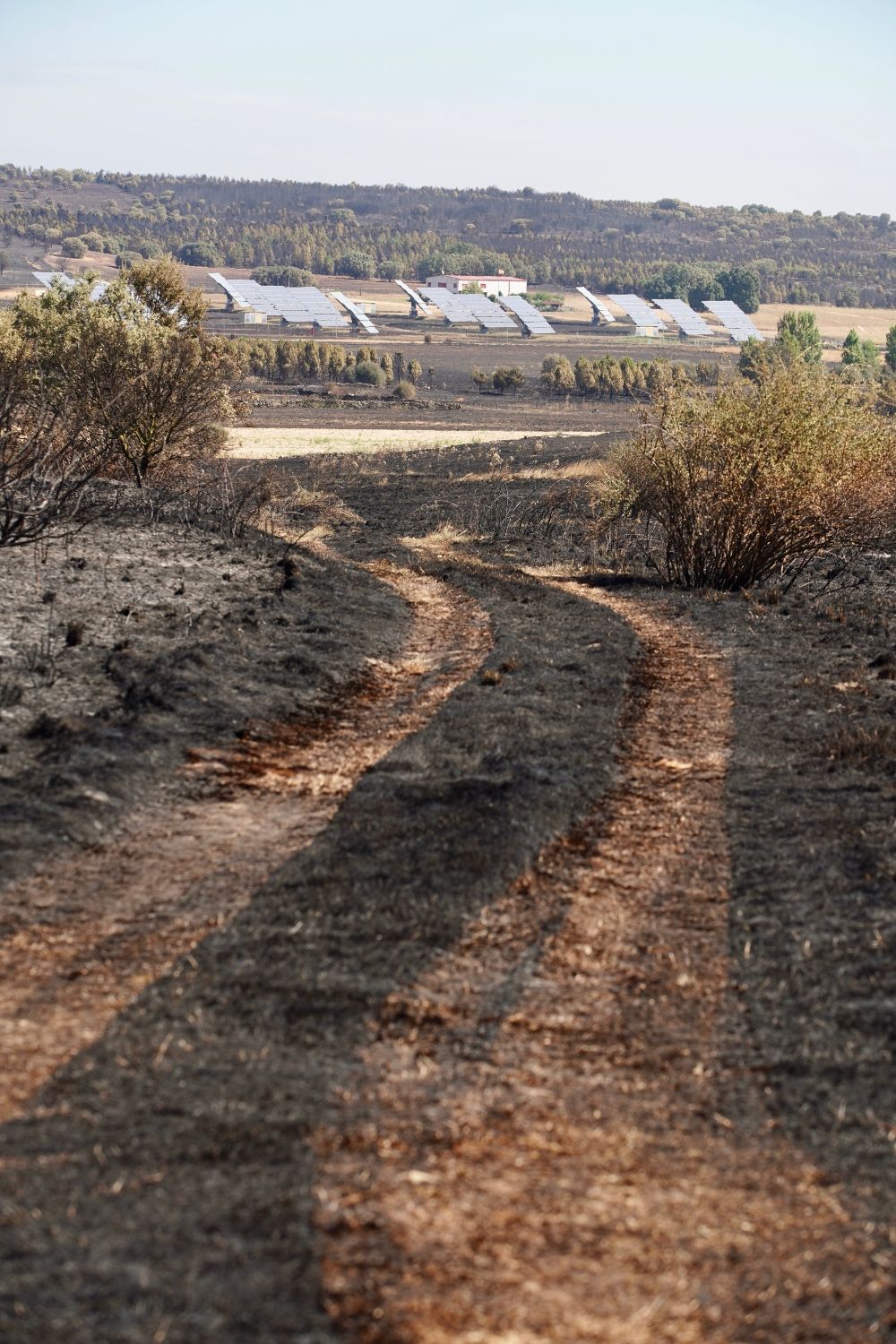 El incendio forestal de Castrillo de los Polvazares  baja a nivel 1 | Campillo / ICAL.