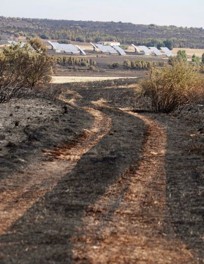 El incendio forestal de Castrillo de los Polvazares  baja a nivel 1 | Campillo / ICAL.