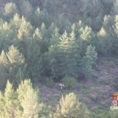 Recatan a un parapentista herido tras sufrir una caída en el Pico Muelas de La Vecilla (León)