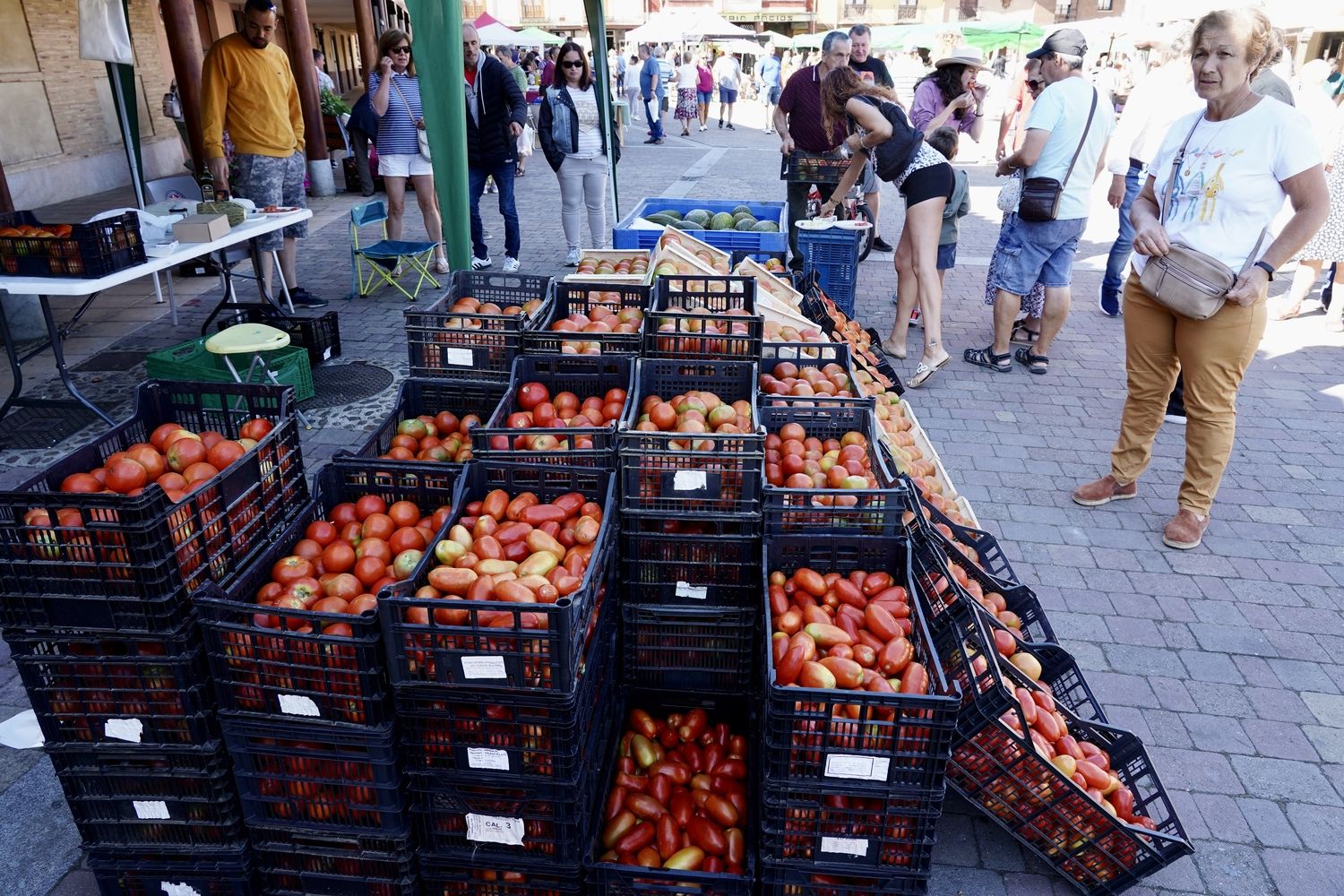 Feria del Tomate de Mansilla de las Mulas | Campillo / ICAL.