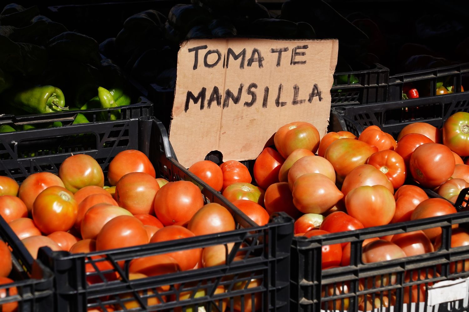 Feria del Tomate de Mansilla de las Mulas | Campillo / ICAL.