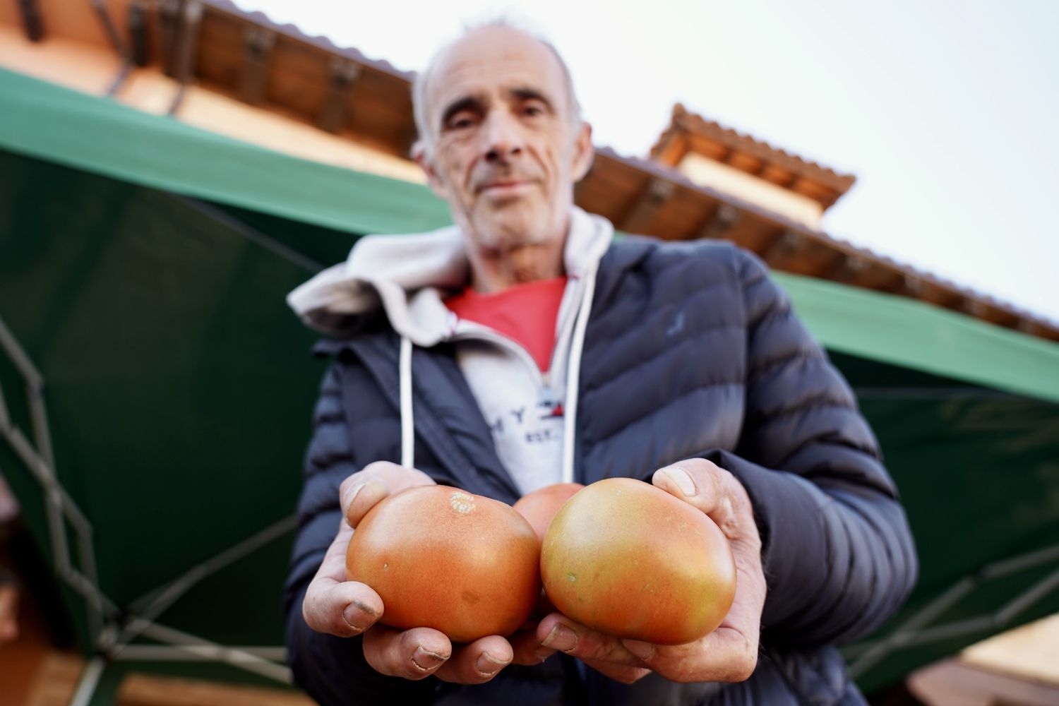 Feria del Tomate de Mansilla de las Mulas | Campillo / ICAL.