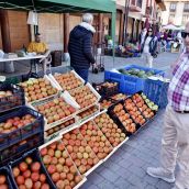 Feria del Tomate de Mansilla de las Mulas | Campillo / ICAL.