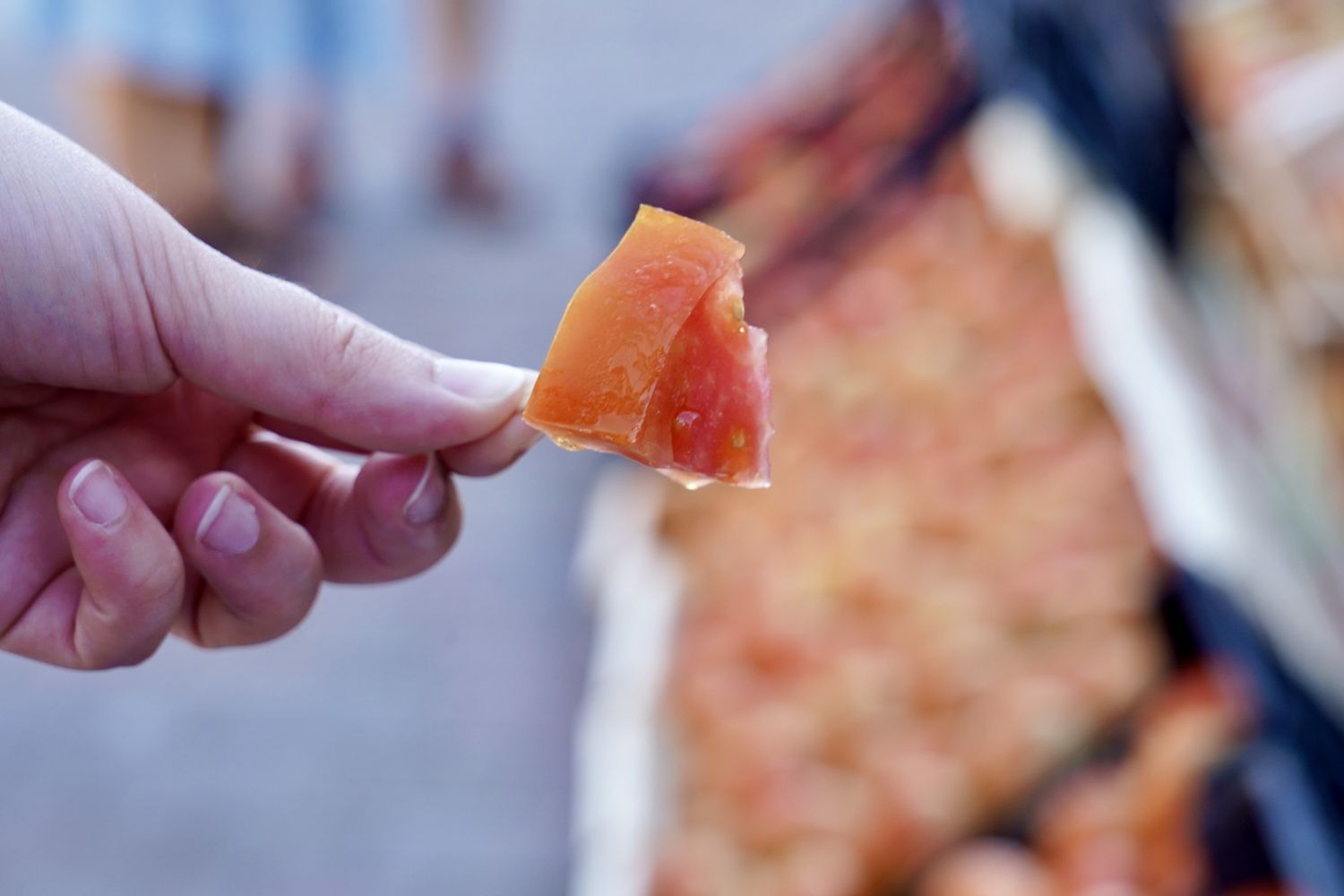 Feria del Tomate de Mansilla de las Mulas | Campillo / ICAL.