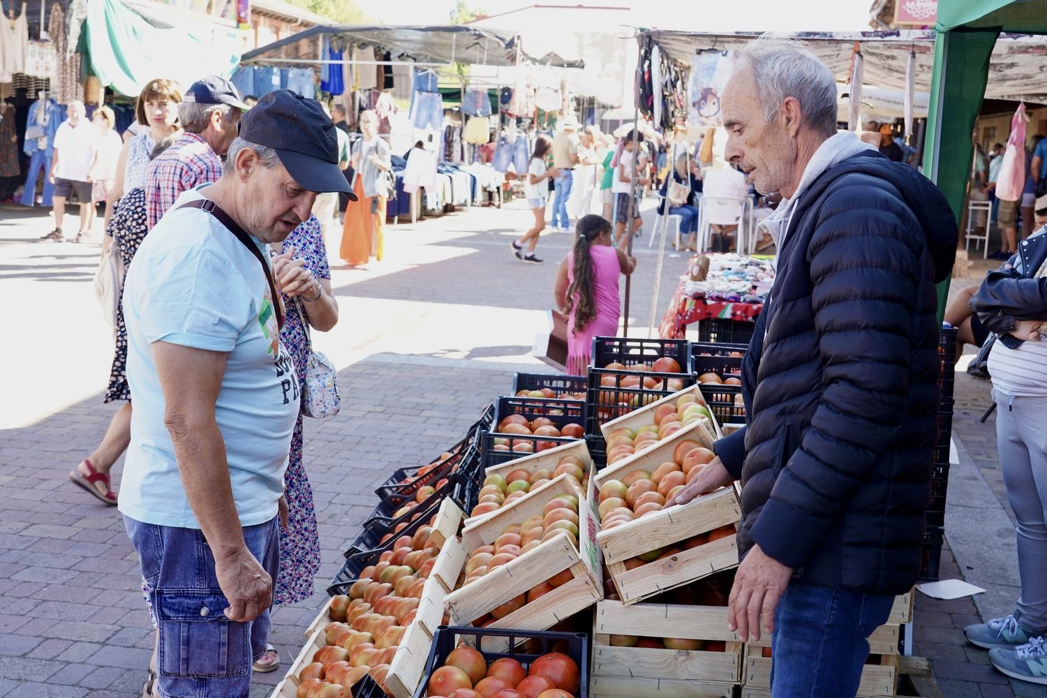  Feria del Tomate de Mansilla de las Mulas | Campillo / ICAL.