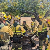 Agentes de la Brif de Tabuyo