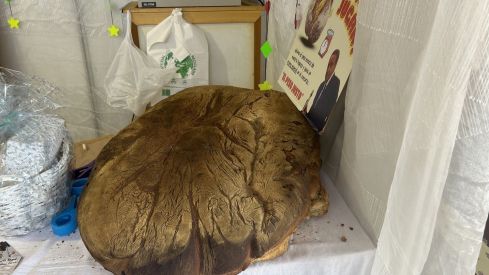 Feria del Dulce de Benavides de Órbigo (León)