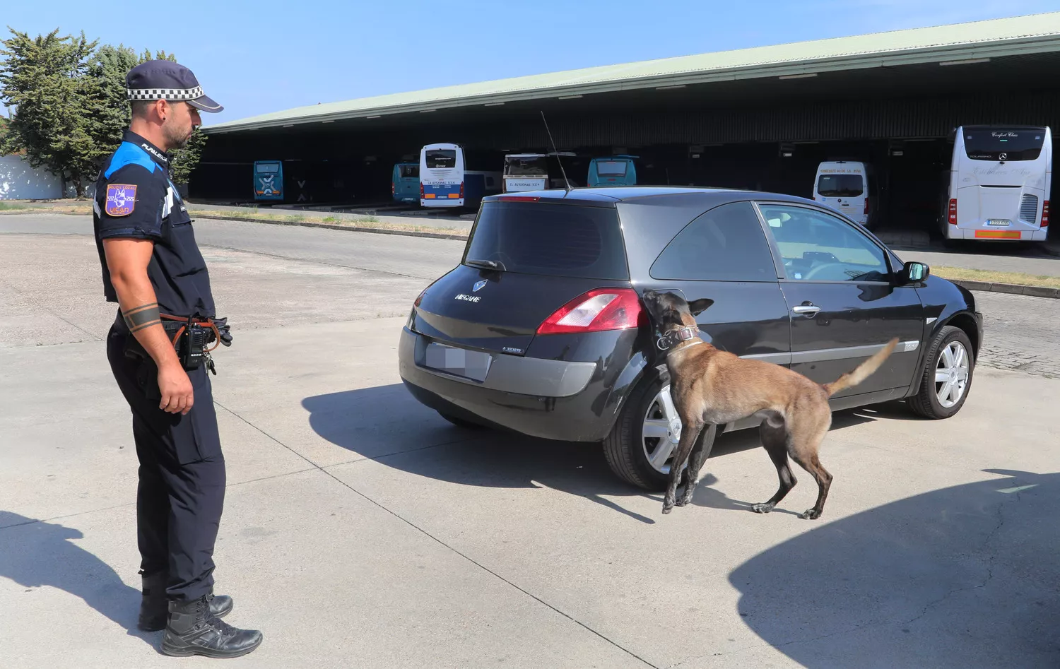 Unidad Canina de la Policía Local de Palencia (Uican)