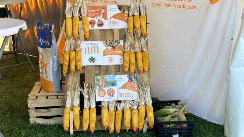 63ª Feria Multisectorial de Santa María del Páramo (León)