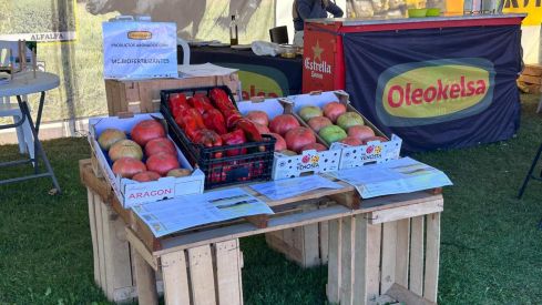 La Diputación de León concede 350.000 euros para las ferias agropecuarias de 2025