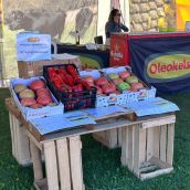 La Diputación de León concede 350.000 euros para las ferias agropecuarias de 2025 La Diputación de León concede 350.000 euros para las ferias agropecuarias de 2025