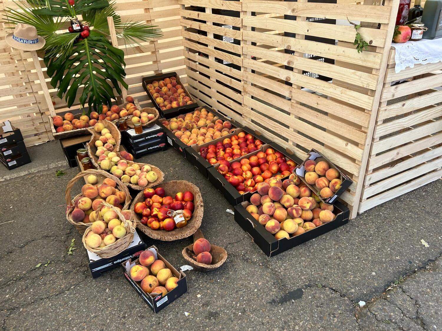 63ª Feria Multisectorial de Santa María del Páramo (León)