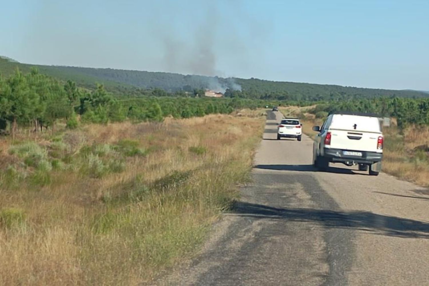 Medios terrestres y aéroes se movilizan para luchar contra un incendio forestal en Torneros de Jamuz (León)