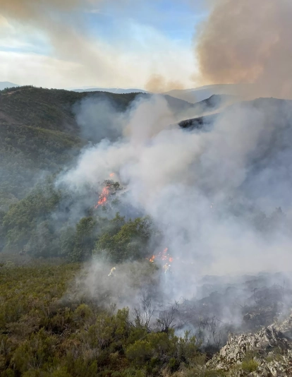 Hasta 30 medios aéreos y terrestres se despliegan ya en el incendio de Brañuelas de nivel 1