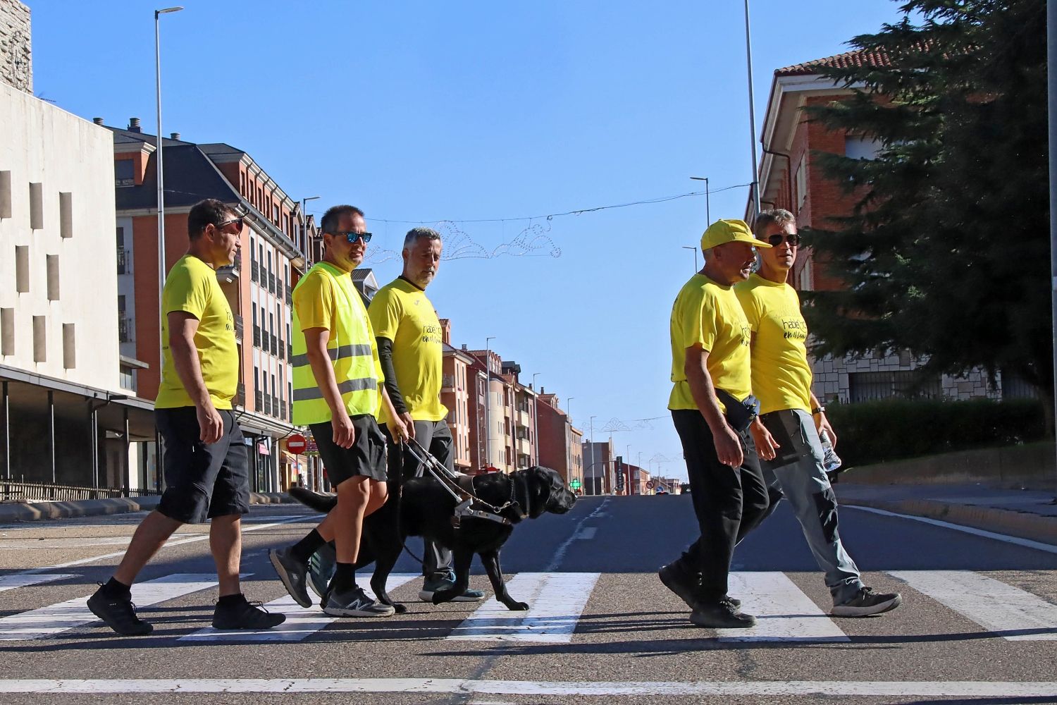 Un Camino para luchar por la vida (1)