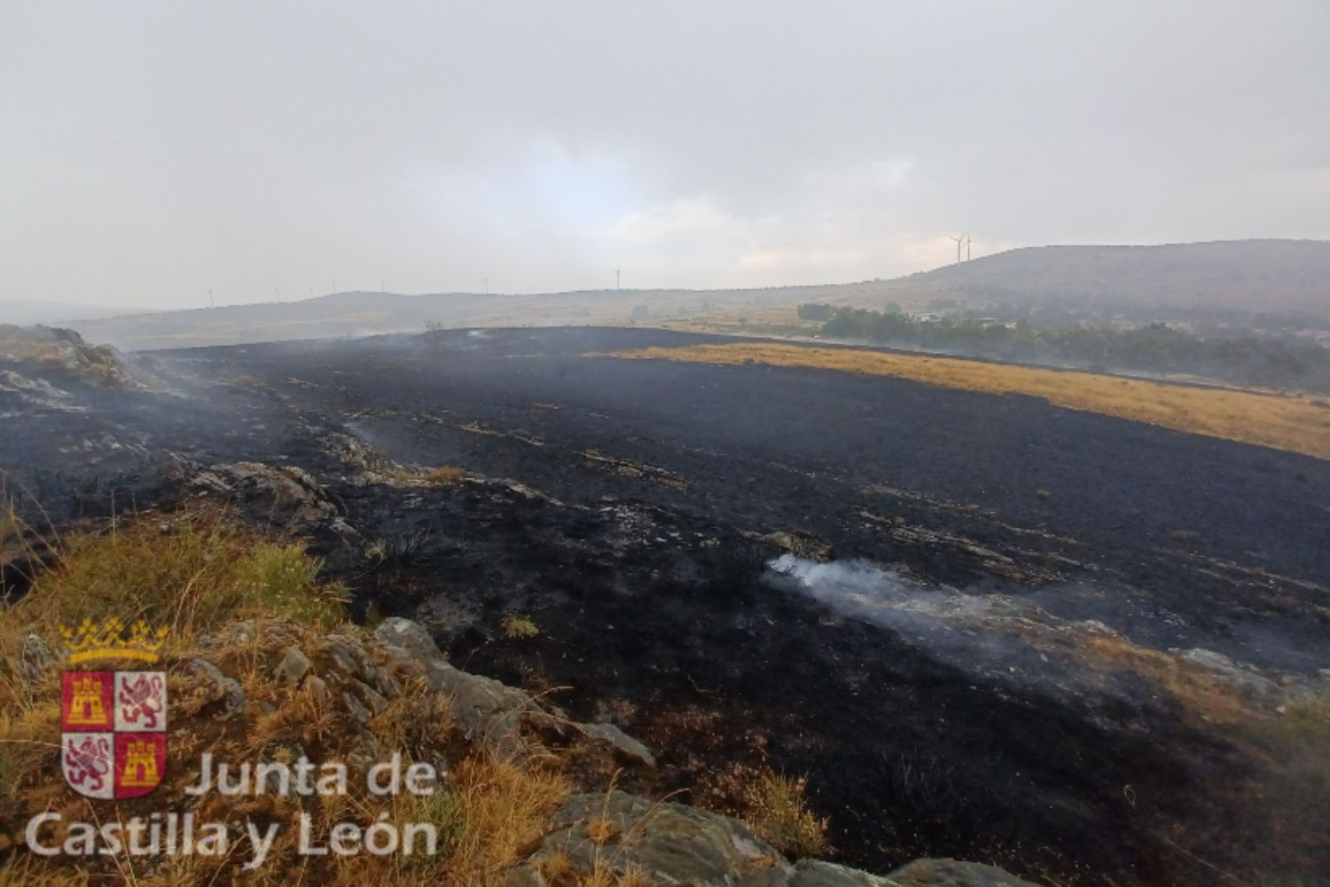 incendio lucillos (1)