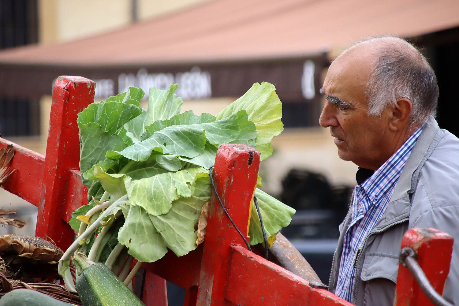 X Romería de la Melonera en León