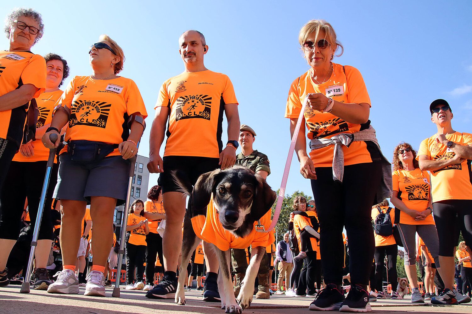  XI carrera ‘Corre por la vida’ de Alcles