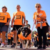  XI carrera ‘Corre por la vida’ de Alcles