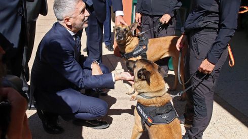 celebración de la festividad de la Merced celebración de la festividad de la Merced
