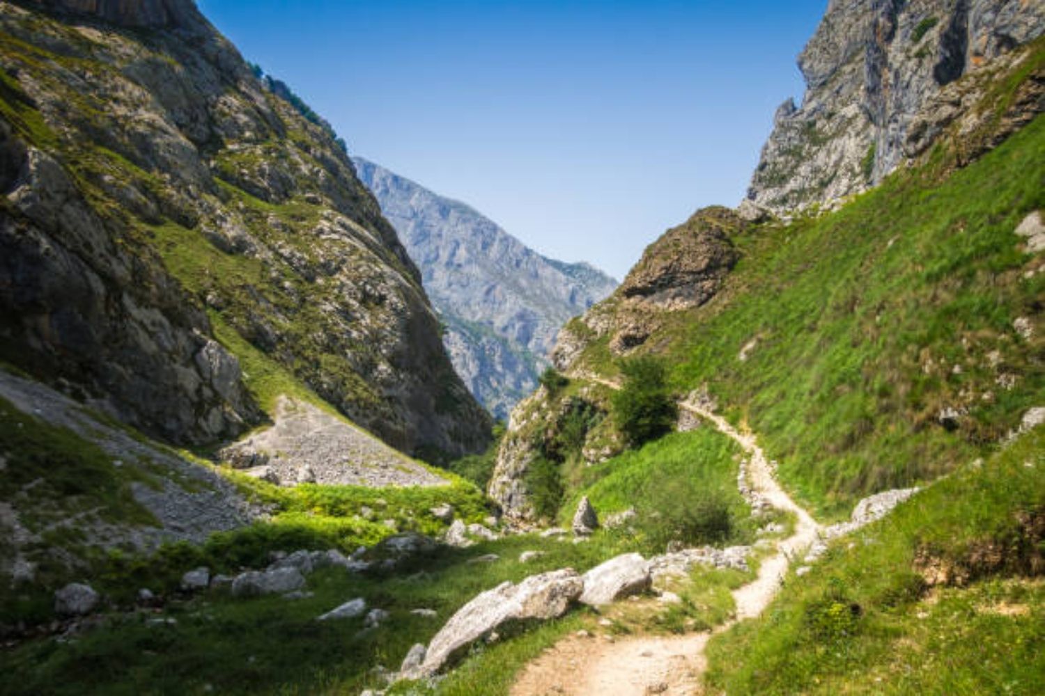 Licitada la construcción de un nuevo muladar en Picos de Europa, con una inversión de 63.000 euros