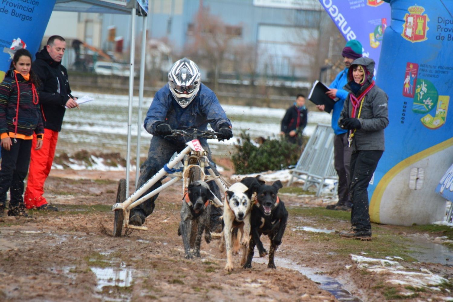 Valencia de Don Juan se estrena en el mushing en octubre | Foto: Diputación de Burgos