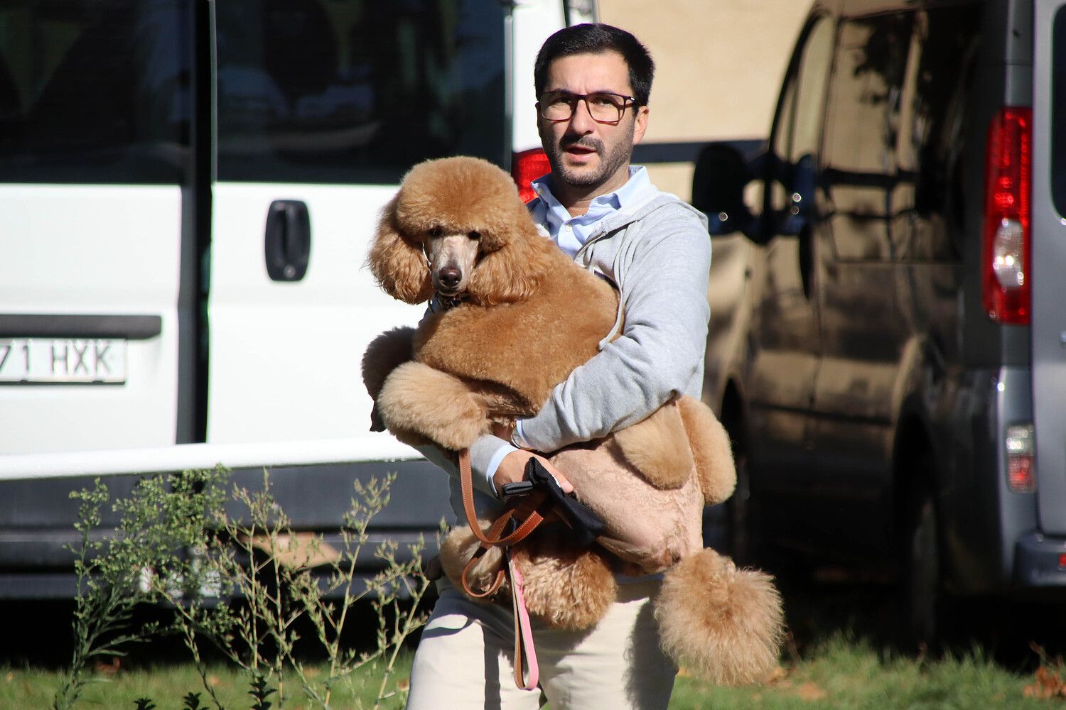 XXXI Exposición Nacional Canina de León