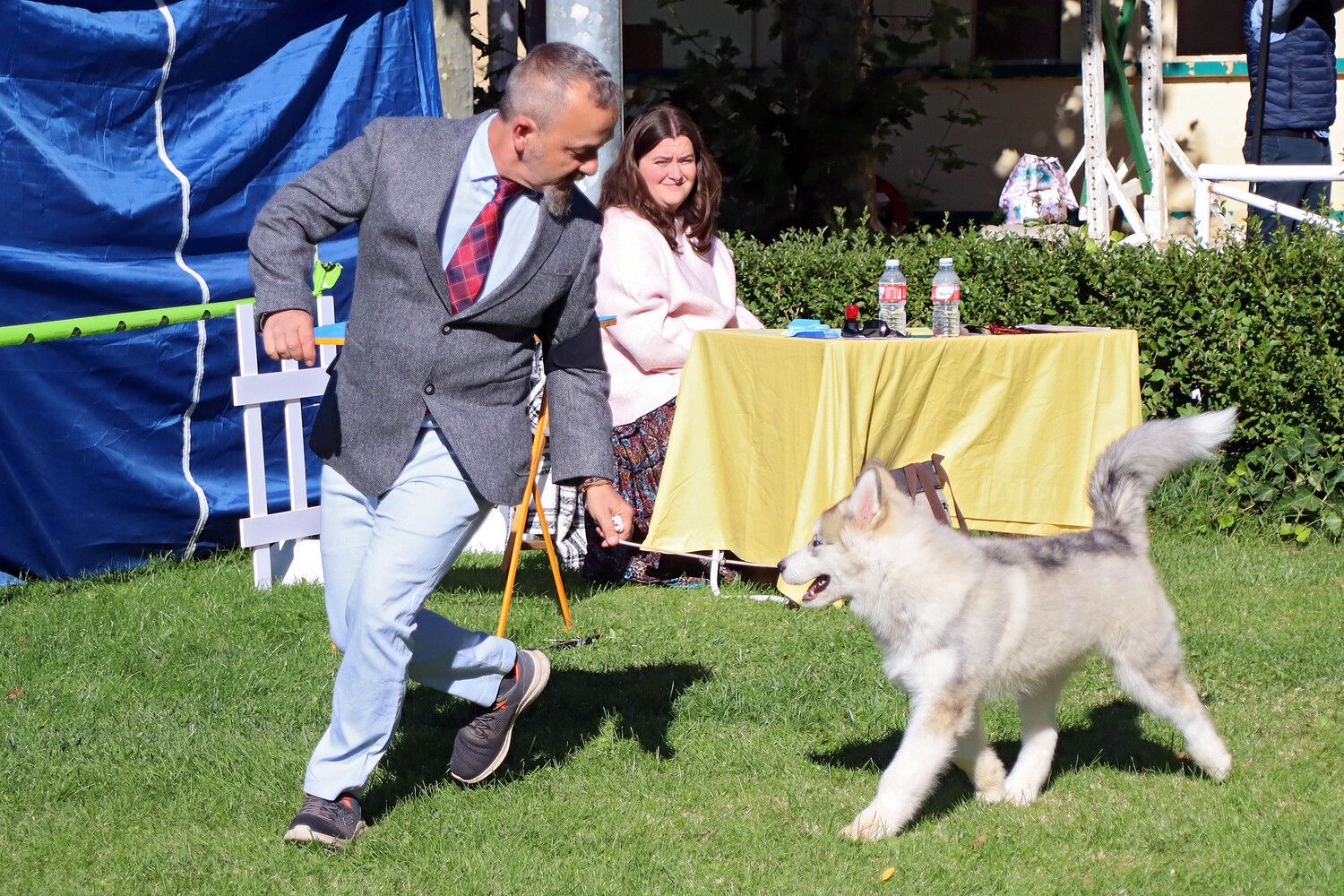 León acoge los mejores perros de España en la XXXI edición de la Exposición Canina