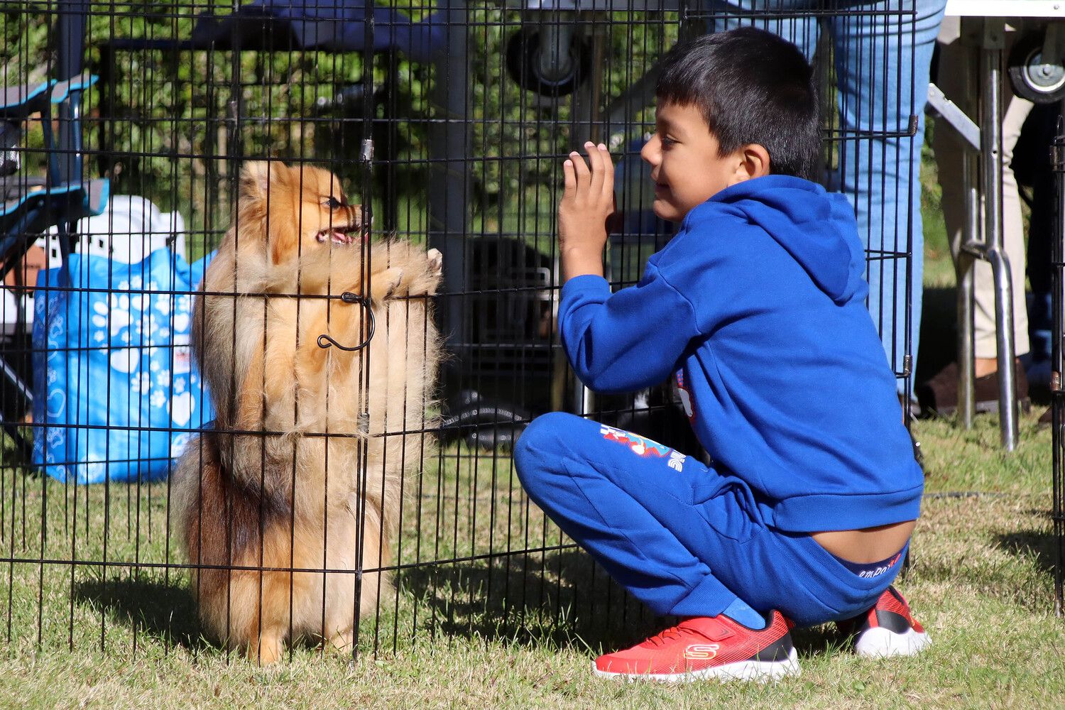 XXXI Exposición Nacional Canina de León