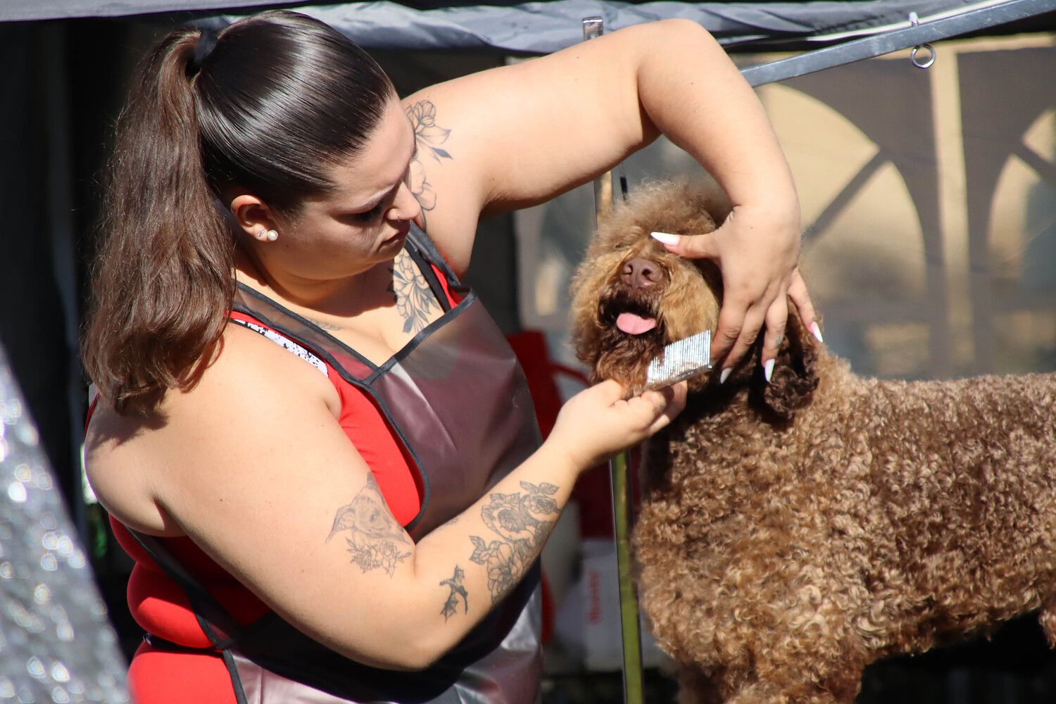 XXXI Exposición Nacional Canina de León