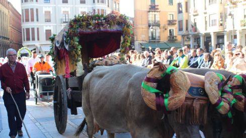 Foro u Oferta de Las Cantaderas en el Claustro de la Catedral de León