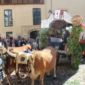 Carros Engalanados en las Fiestas de San Froilán de León
