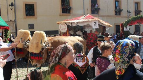 Carros Engalanados en las Fiestas de San Froilán de León