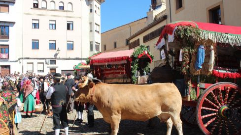 Carros Engalanados en las Fiestas de San Froilán de León