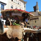 Carros Engalanados en las Fiestas de San Froilán de León