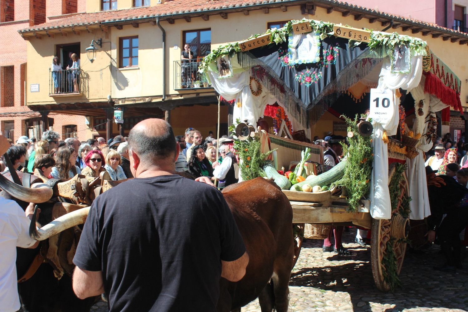 Carros Engalanados en las Fiestas de San Froilán de León