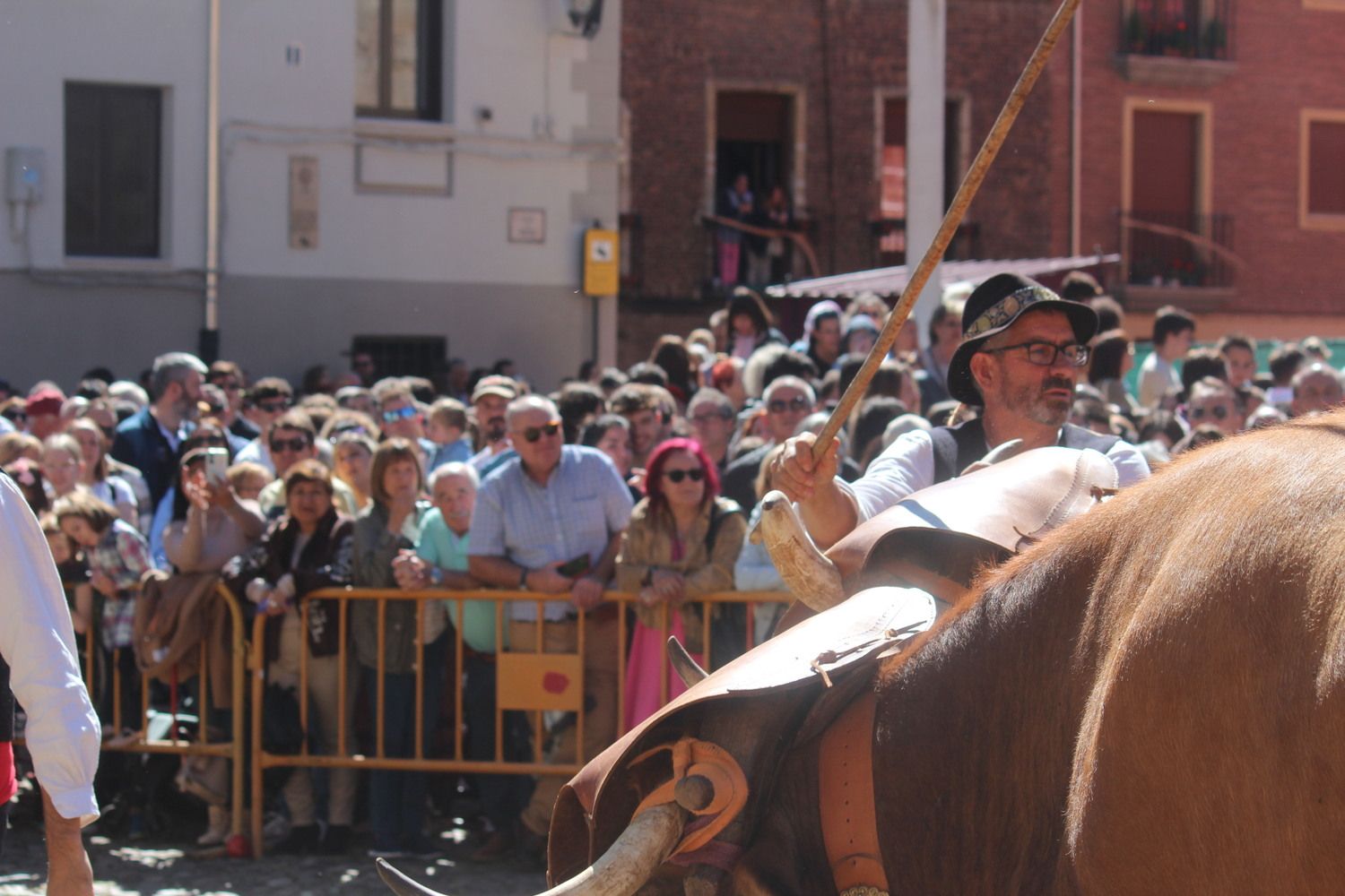 Carros Engalanados en las Fiestas de San Froilán de León