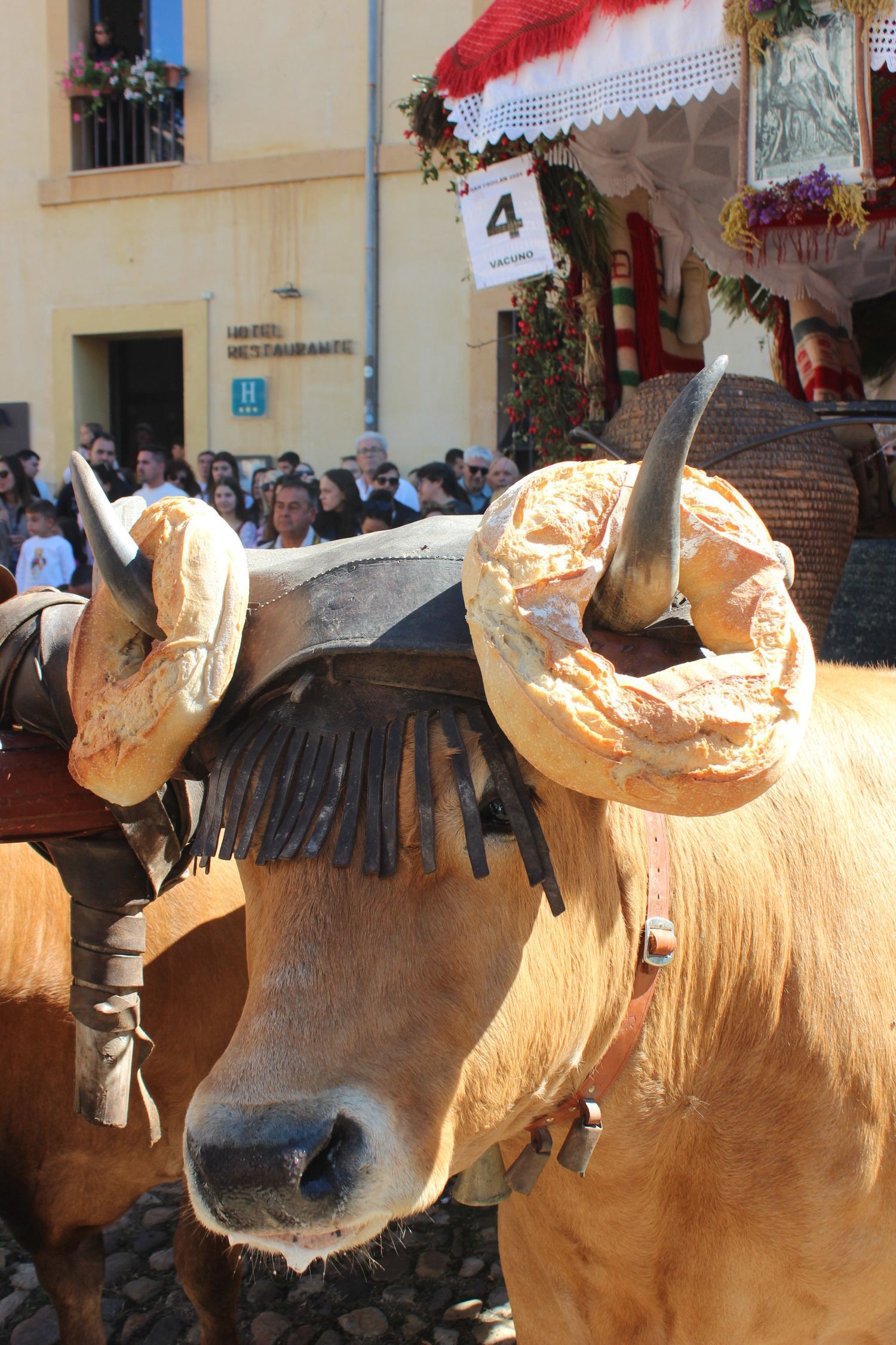 Carros Engalanados en las Fiestas de San Froilán de León