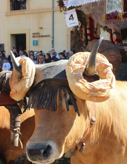 Carros Engalanados en las Fiestas de San Froilán de León