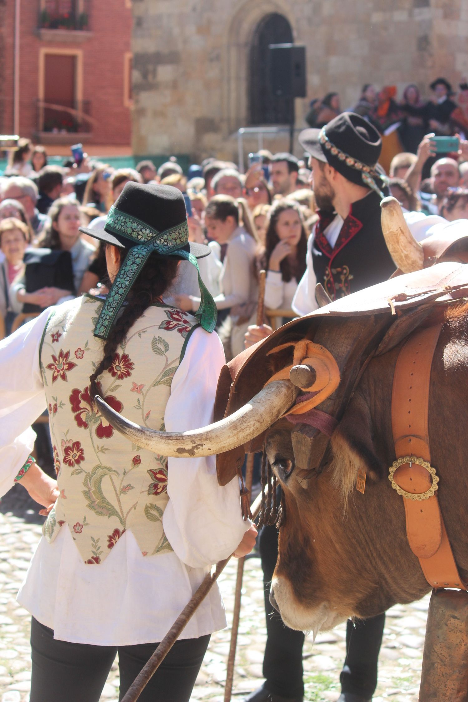 Carros Engalanados en las Fiestas de San Froilán de León