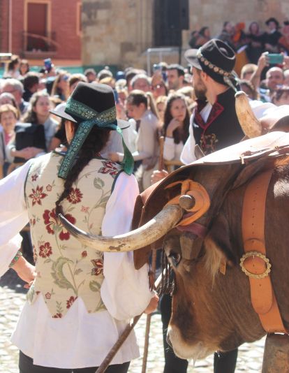 Carros Engalanados en las Fiestas de San Froilán de León