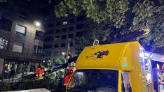 La rama de un árbol del Jardín de San Francisco (León) se precipita y destroza una foodtuck y un coche