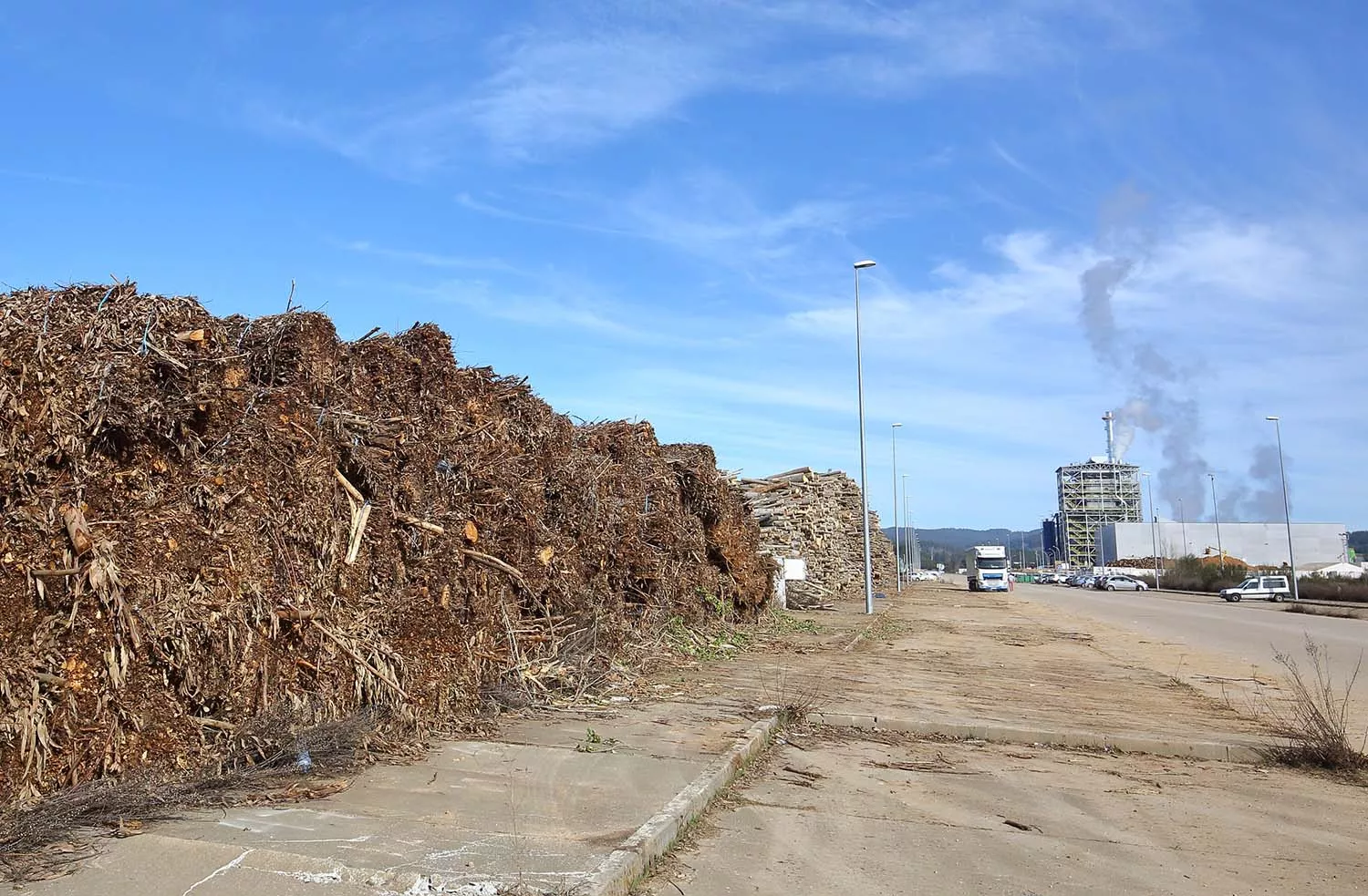 Actividad de la empresa Forestalia en el polígono industrial de Cubillos del Sil.